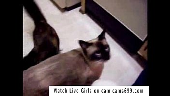 Preview 2 of Ilariabarald - Homemade Free Teen Amateur Porn VideoMobile