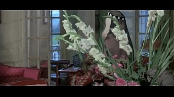Preview 2 of Yang Di Intip - Catherine Deneuve in Belle de jour (1967)