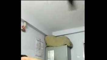 Preview 3 of Pjaden Lee - xvideos.com c0d868c56c5a40c7140f7526692fbda4