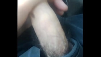 Preview 1 of Porn Star With Big Pussy - WP 20160121 008
