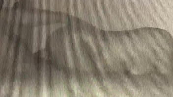 Preview 4 of Christy Am Know - cheating wife gets fucked by BBD
