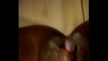 Preview 2 of Maya 18 - VID-20150628-WA0010