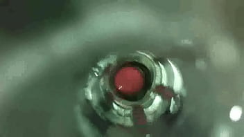Preview 2 of Zoo Xnxx Com V - IMG 3525 xvid