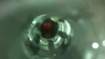 Preview 3 of Zoo Xnxx Com V - IMG 3525 xvid