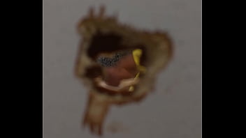 Preview 2 of Cunt Ladys - Flagra de punheta no banheiro de maca&eacute_