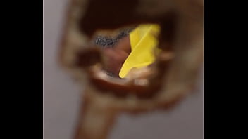 Preview 3 of Cunt Ladys - Flagra de punheta no banheiro de maca&eacute_