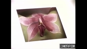 Preview 4 of Fanily Threesome - Pussy Free Funny Amateur Porn Video