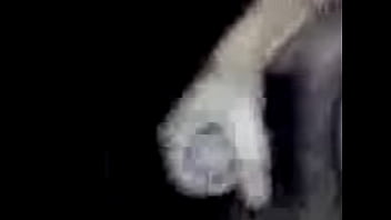 Preview 3 of Home Wrecking12 - MOV00071