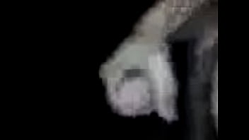 Preview 4 of Home Wrecking12 - MOV00071