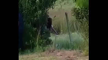 Preview 2 of Free Porn Pamela An - argentina,  cogida detras de planta