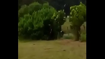 Preview 1 of Free Porn Pamela An - argentina,  cogida detras de planta