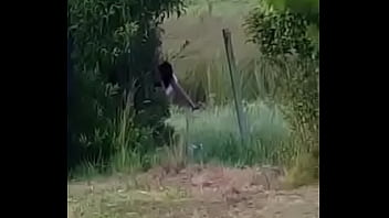 Preview 4 of Free Porn Pamela An - argentina,  cogida detras de planta