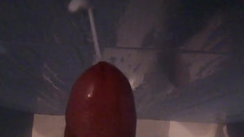 Preview 2 of Public Mast 10 - leche