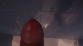 Preview 1 of Public Mast 10 - leche