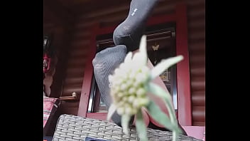 Preview 2 of Xix Xin - Schwarze Socken auf der Veranda