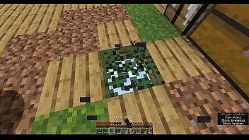 Preview 1 of Indian Hd Bf - Minecraft iamyg and bootyinspector sex