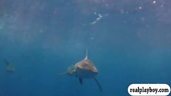 Preview 2 of Foxy Busness Lody - Hot babes in shark cage and snowboarding