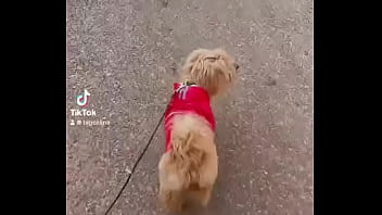 Preview 1 of 40 Her - Early morning road walk with mah baby dogie