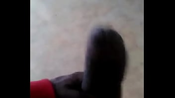 Preview 4 of 12invh - received 203370313337500