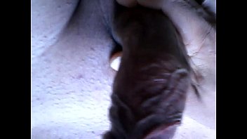 Preview 3 of Bloody Sex Amirican - PUNHETA BEM CEDO.