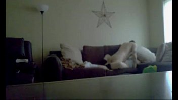 Preview 2 of Cildr Cutie - Round 2 Wife and Friend,  Free Teen Porn Video ba: