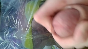 Preview 2 of Sanelion Xx Video Hd Hot - 20151201 101458 001