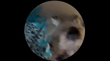 Preview 2 of Michelle Pfiffer Porn Scene - Even tbe senior dog getting on this trend. #pedropedropedro