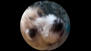 Preview 3 of Michelle Pfiffer Porn Scene - Even tbe senior dog getting on this trend. #pedropedropedro