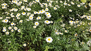 Preview 3 of Ky Afj - I spy on my neighbor masturbating in the daisies - Girls fly orgasm