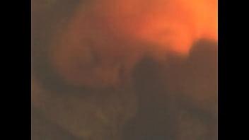 Preview 4 of Holywoad Xvideo - VID 20151113 102826
