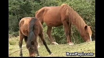 Preview 4 of New Hot Bf Brazzers - Hardcore Bareback Scene With Hot Latin