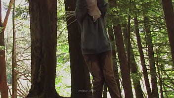 Preview 4 of Porn 3d Hsbs Butt - Bound in woods desperation wetting