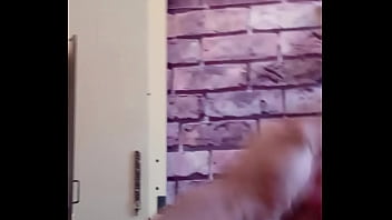 Preview 4 of Porno Big 15 Ans - Latino gimiendo rico mientras se masturba