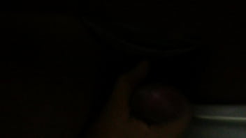 Preview 3 of Hentei Shemale - hetero en el ba&ntilde_o