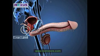 Preview 2 of 14 Yar Boy And 40 Yar Mom Xvideo - Learn About the Male and female Reproductive Systems - Men for Women  Women for Men