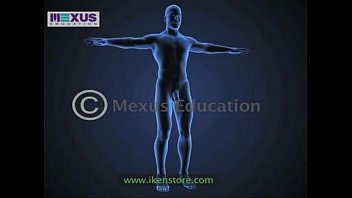 Preview 1 of 14 Yar Boy And 40 Yar Mom Xvideo - Learn About the Male and female Reproductive Systems - Men for Women  Women for Men