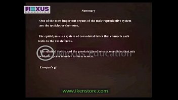 Preview 4 of 14 Yar Boy And 40 Yar Mom Xvideo - Learn About the Male and female Reproductive Systems - Men for Women  Women for Men