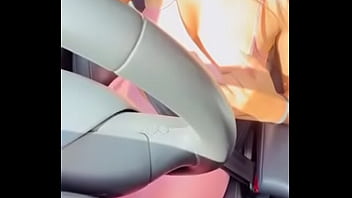Preview 3 of Alia Bhatt Sex With Dog - MOSTRANDO O PEITO NO TR&Acirc_NSITO