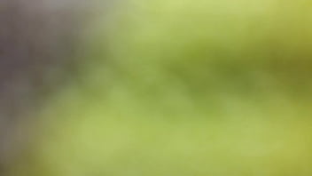 Preview 3 of How To Mursterbate - 20150911 053816