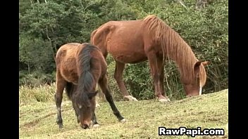 Preview 4 of Saxvi Purn Movi - Two Horny Gay Barebacked Sex Hardciore