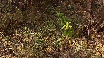 Preview 2 of Big Shot Of Penis And Vegina - blowjob and outdoor sex
