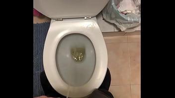 Preview 1 of Diana Fann - Hunter Bradley Piss Compilation