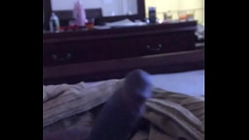 Preview 3 of Babglaxxx - tryna get that big black dick hard