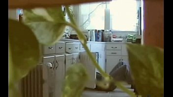 Preview 2 of Glir Debunk - wife house plumber plant