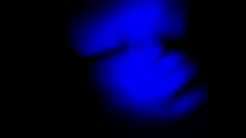 Preview 1 of Rachel Smith Cd - esposa puta roxxxpue mamando verga en club swinger esposo filma