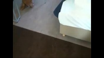 Preview 2 of Mia Malkova Ass Whole Video - Amateur Blondie sucks a cock and then fucks it