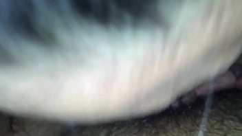 Preview 3 of 18 Haie - wife suck best