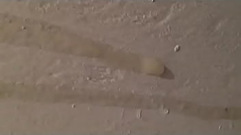 Preview 2 of Pro Fast - mi leche recorriendo la pared