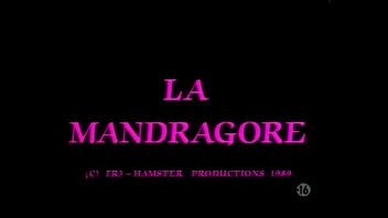 Preview 1 of Shool Girls Sexcom - Serie Rose 14- La mandragore