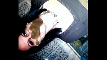 Preview 3 of Brazil Lesbian Scat Domination - video:6696